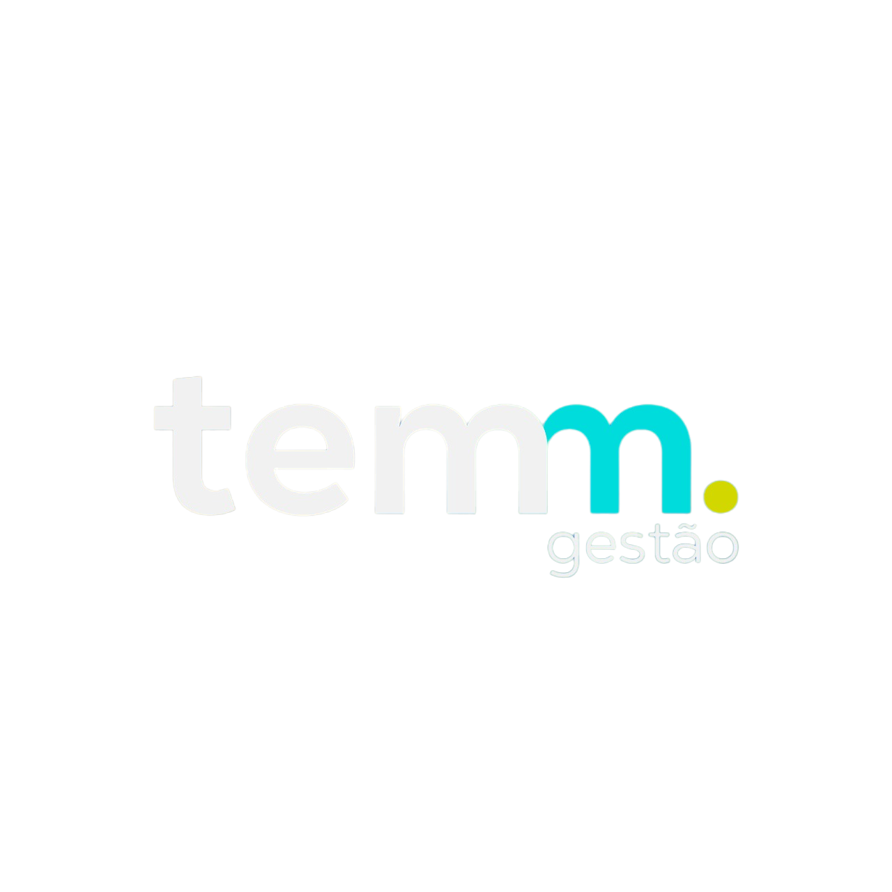 Temm Gestão